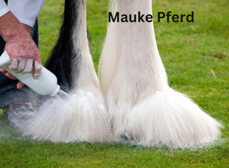 Mauke beim Pferd